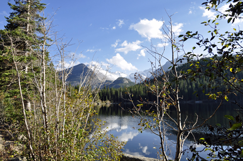 peaking through the trees at Longs Peak and Bear Lake